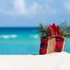Why More and More People are Giving the Gift of Travel this Season