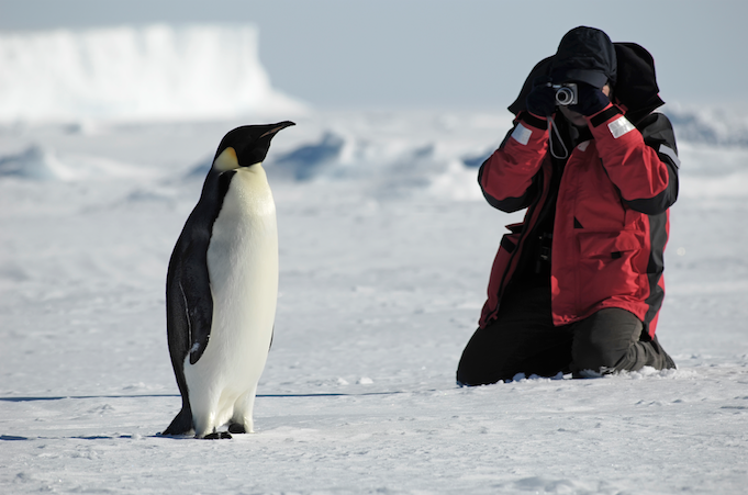 Antarctic Cruise Tragedies Remind us 'Why' We Take Expedition Cruises