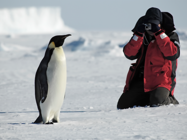 Antarctic Cruise Tragedies Remind us 'Why' We Take Expedition Cruises