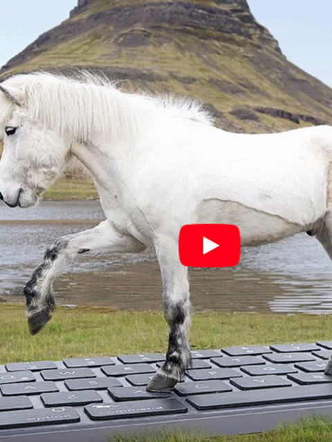 Made You Look: The Quirkiest, Most Creative Tourism Marketing Campaigns of 2022