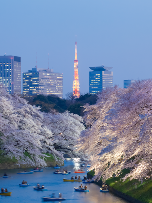 How These Hotels in Japan are Celebrating Cherry Blossom Season