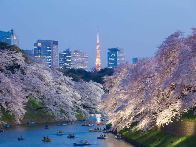 How These Hotels in Japan are Celebrating Cherry Blossom Season
