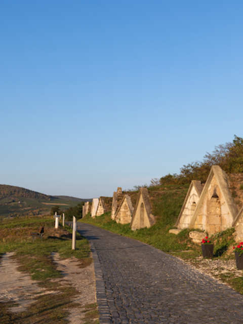 The Wine Region You Can’t Miss on a Danube River Cruise in Hungary