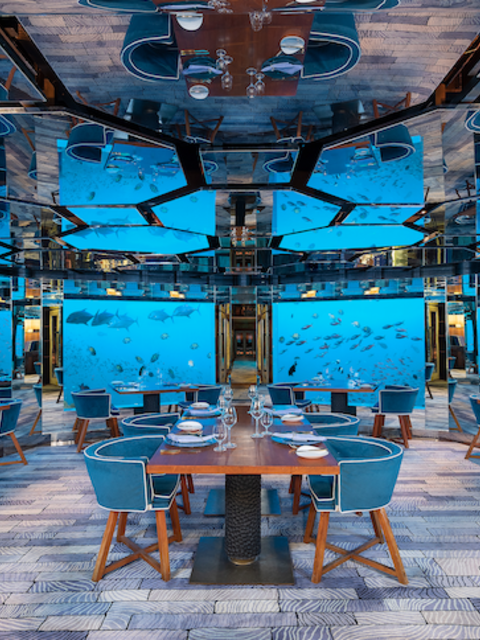 You Can Do An Underwater-Aged Dom Perignon Champagne Tasting in the Maldives