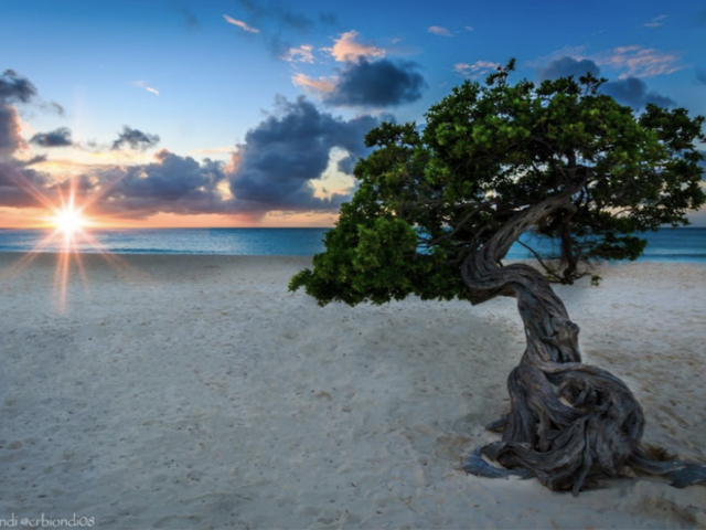 A New Nature Reserve and More Hotel News From Aruba