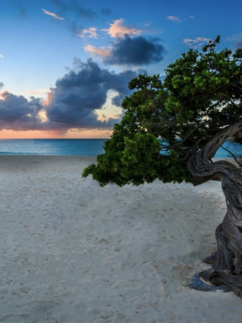 A New Nature Reserve and More Hotel News From Aruba
