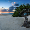 A New Nature Reserve and More Hotel News From Aruba