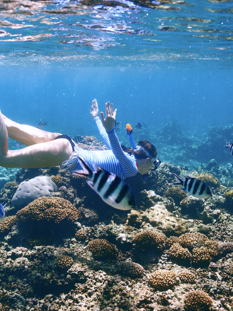 Beach Vacation Tip: What You Need to Know About Reef-Safe Sunscreen