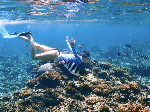 Beach Vacation Tip: What You Need to Know About Reef-Safe Sunscreen