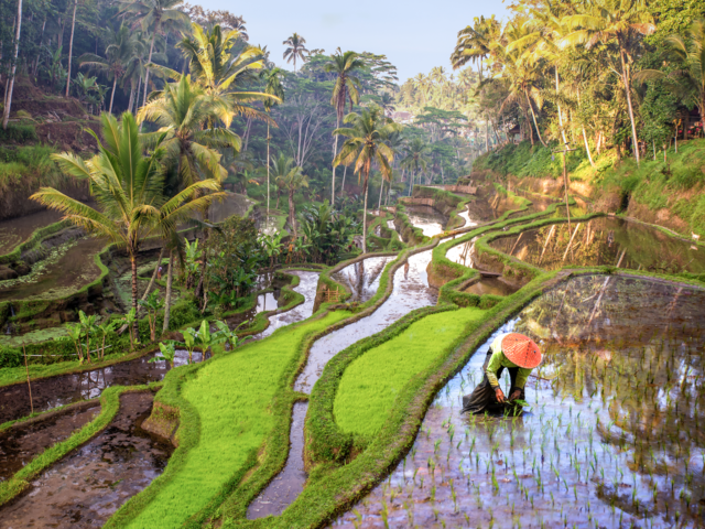 The Longest Hotel Pool on the Exotic Island of Bali is Inspired by Rice Terraces