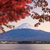 Seabourn Unveils New 2025-26 Cruises Exploring Japan, Caribbean and More