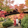 3 Idyllic Places to Practice Japanese 'Forest Bathing'