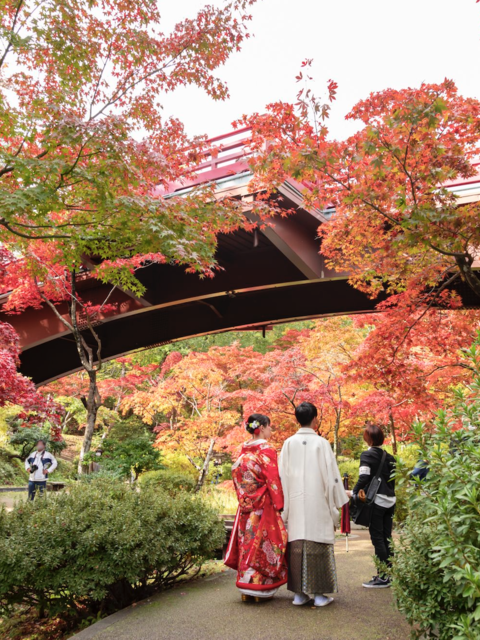 3 Idyllic Places to Practice Japanese 'Forest Bathing'