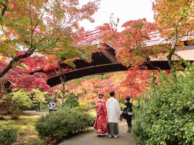 3 Idyllic Places to Practice Japanese 'Forest Bathing'