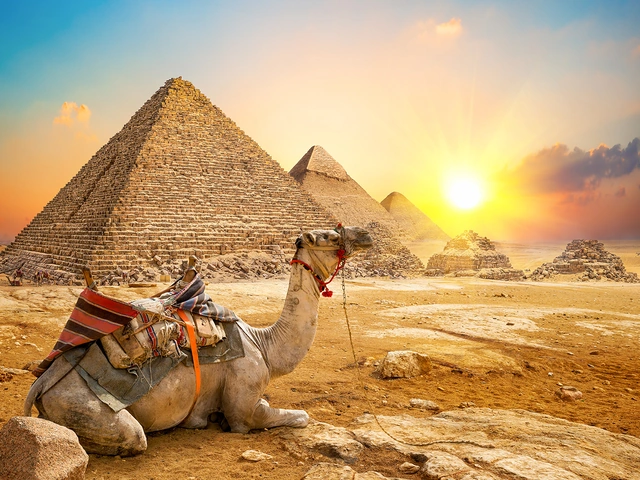 Tailor-Made Experiences