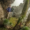 New Year, New Adventure: G Adventures' Great Adventure Sale - Up To 25% Off