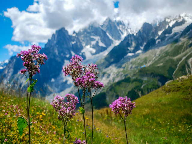 Summer Dreaming: Find Your Far-From-Ordinary European Adventure