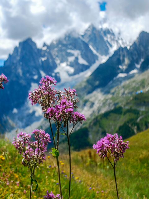 Summer Dreaming: Find Your Far-From-Ordinary European Adventure