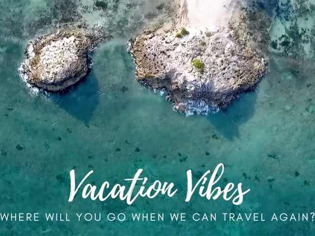 Favorite Vacation