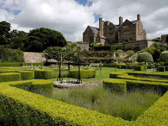 Celtic Comfort: A Welsh Escape