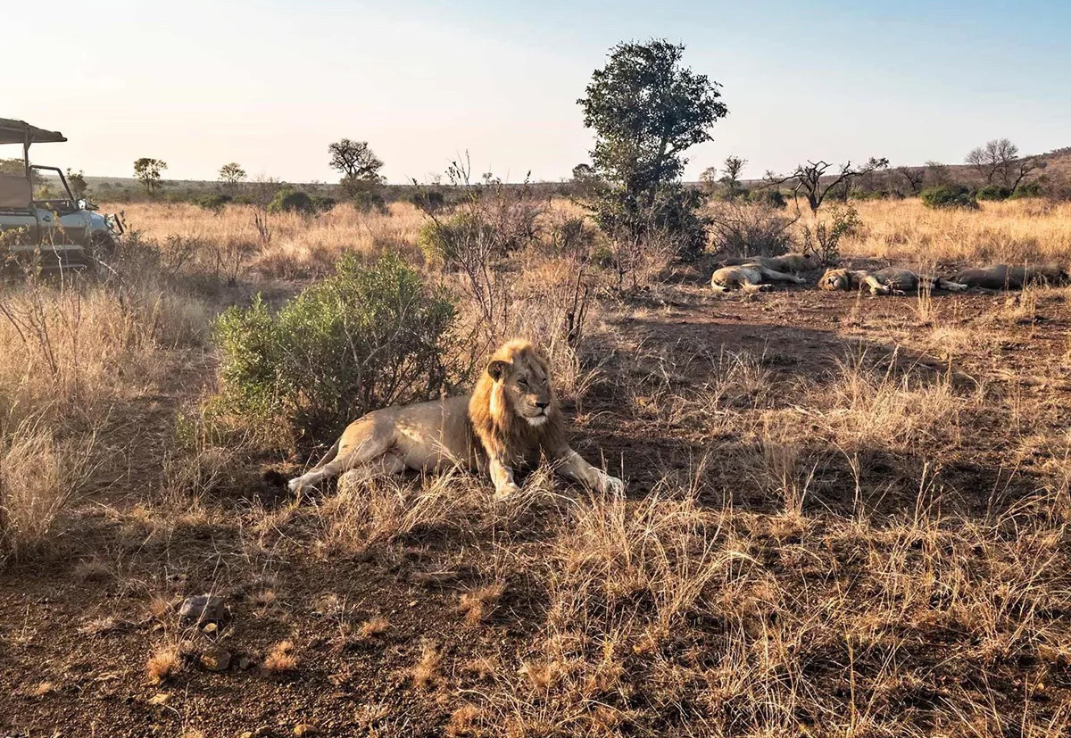 Best of South Africa