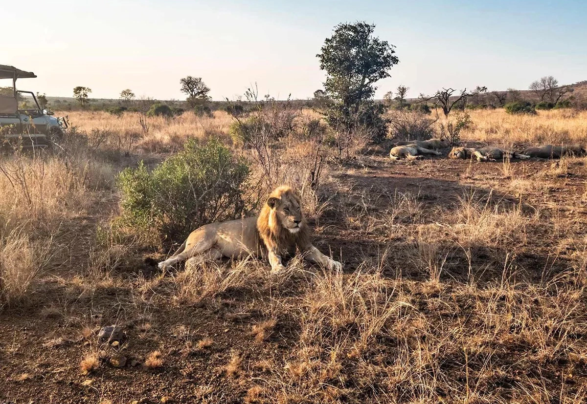 South-Africa.jpg