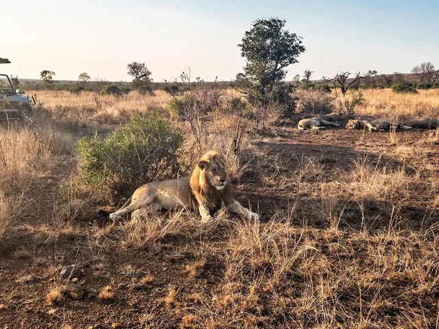 Best of South Africa
