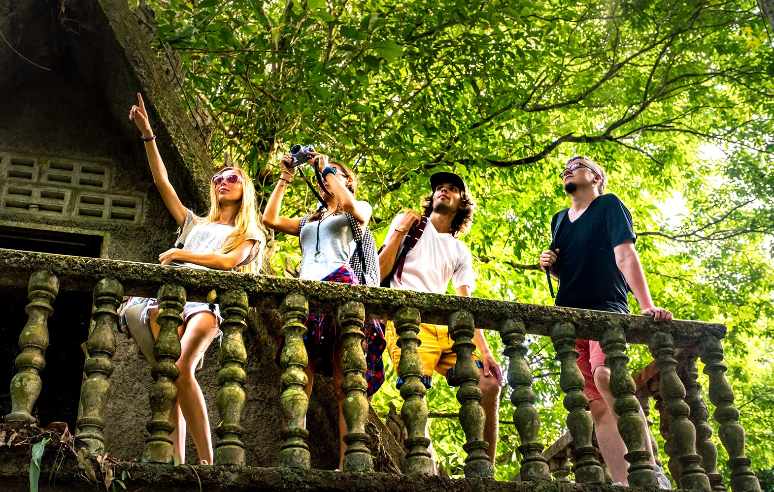 Guided Tours