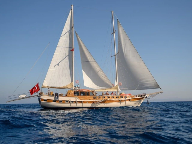 Scic Sailing