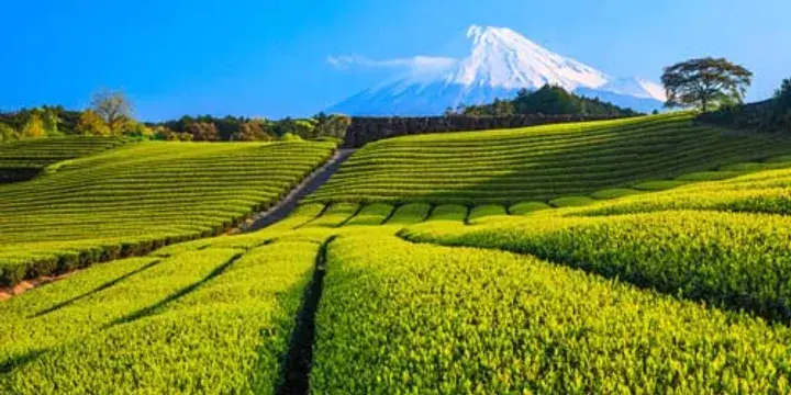 Shimizu, Japan