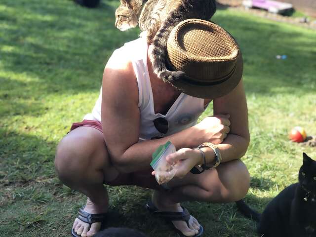 Lanai Cat Sanctuary