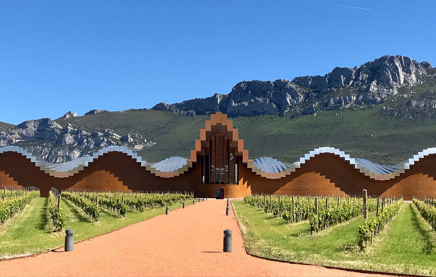 Wine & Dine in Spain