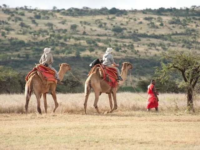 African Safaris