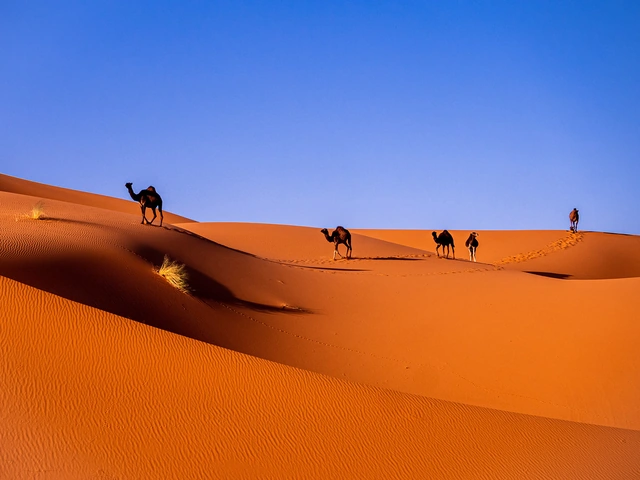 HBK Travel Community Sells Out First Group Trip to Morocco