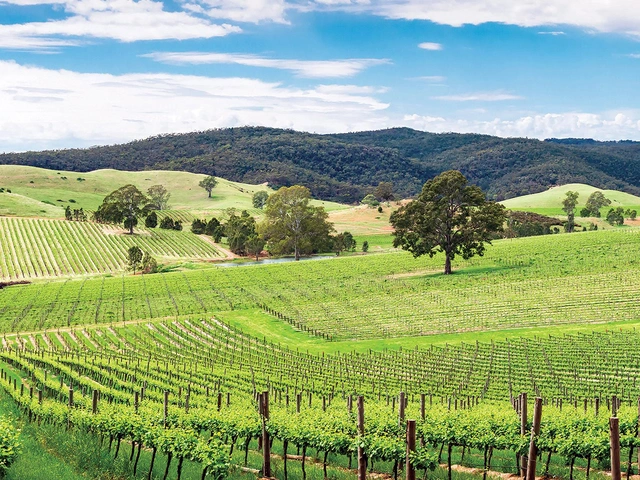 Tastes of Southern Australia - AATKings – Early Bird Booking Offer