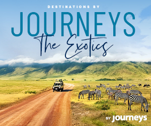 Discover The Exotics