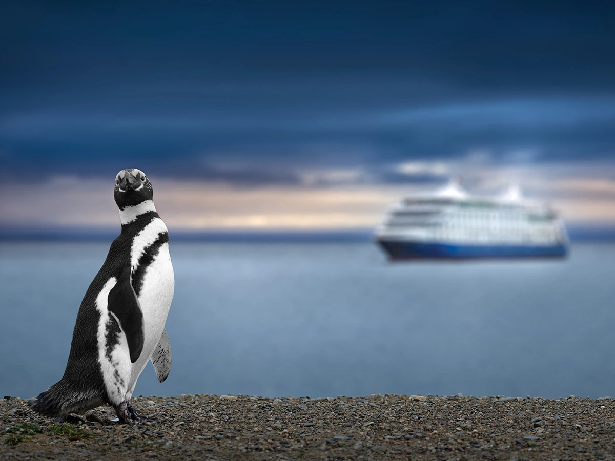 Expedition Cruise