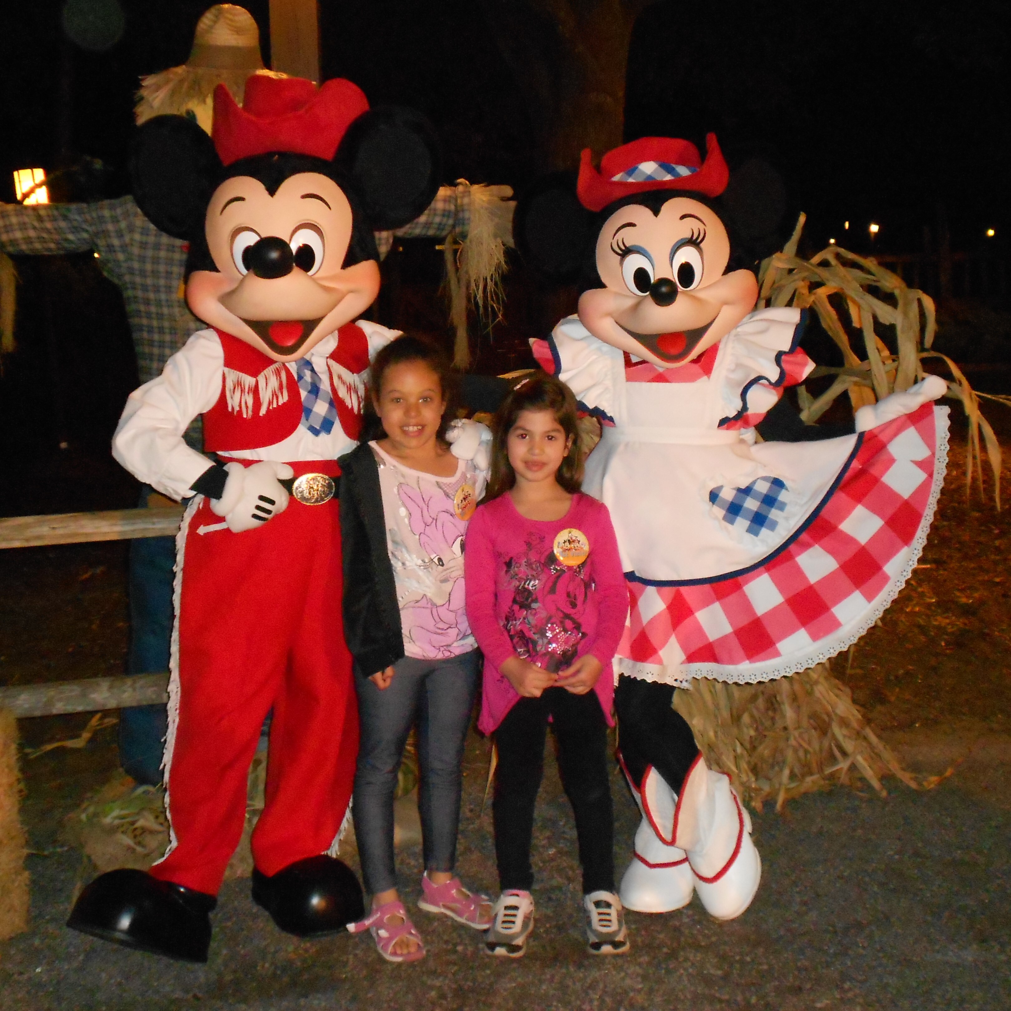 Mickeys BBQ
