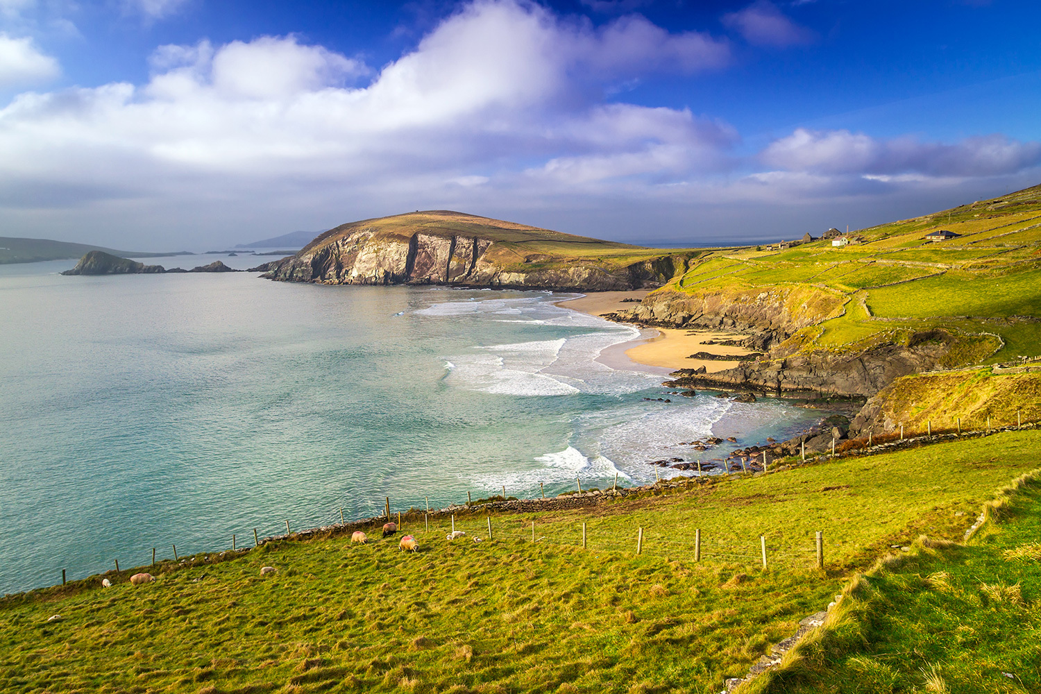 Ireland-Coast.jpg