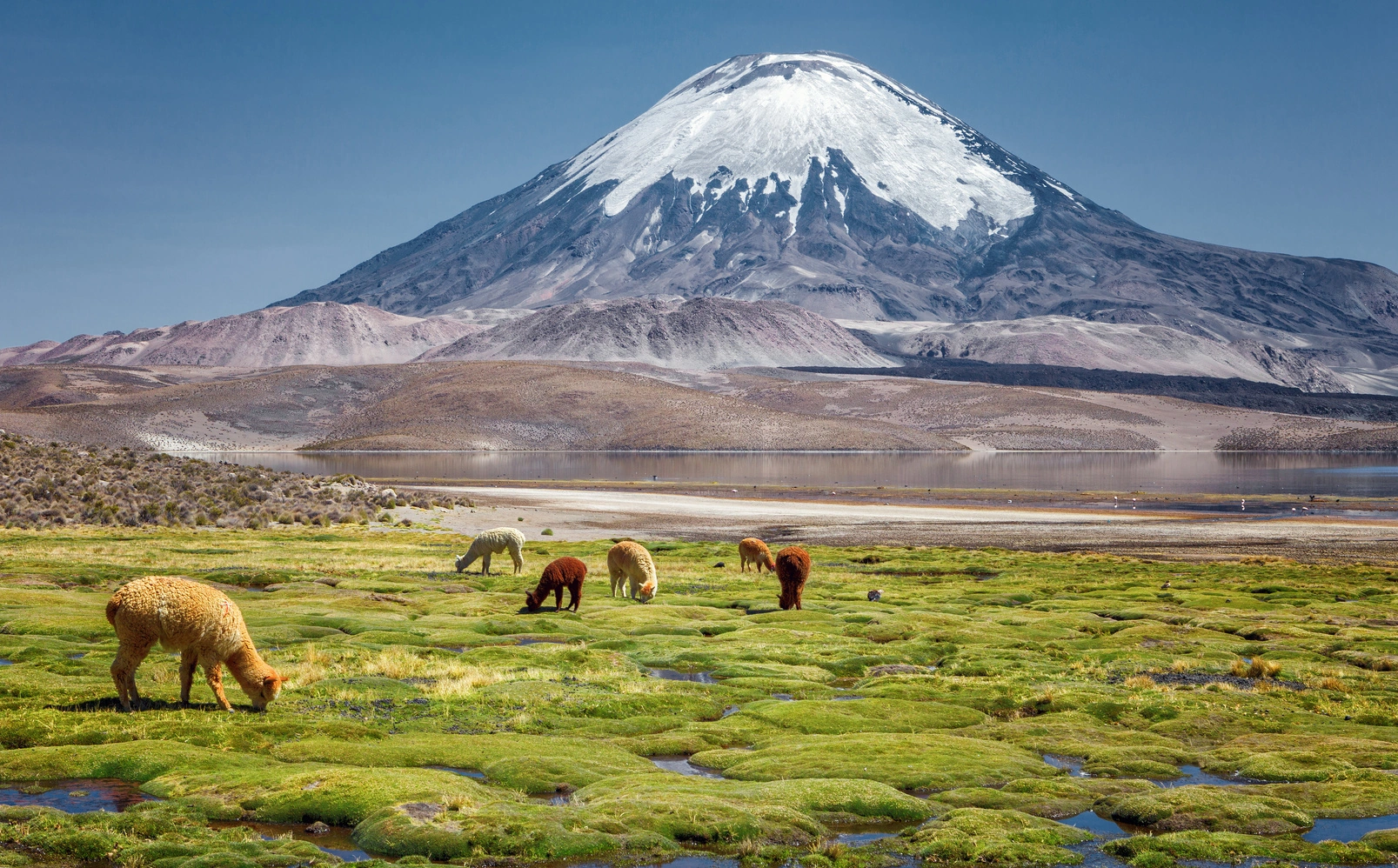 Chile & Argentina