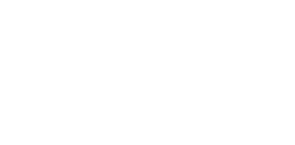 Progress Travel Services Inc.