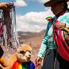 LAST CALL to join our Discovery Tours in Ecuador, Galapagos and Peru this Spring!