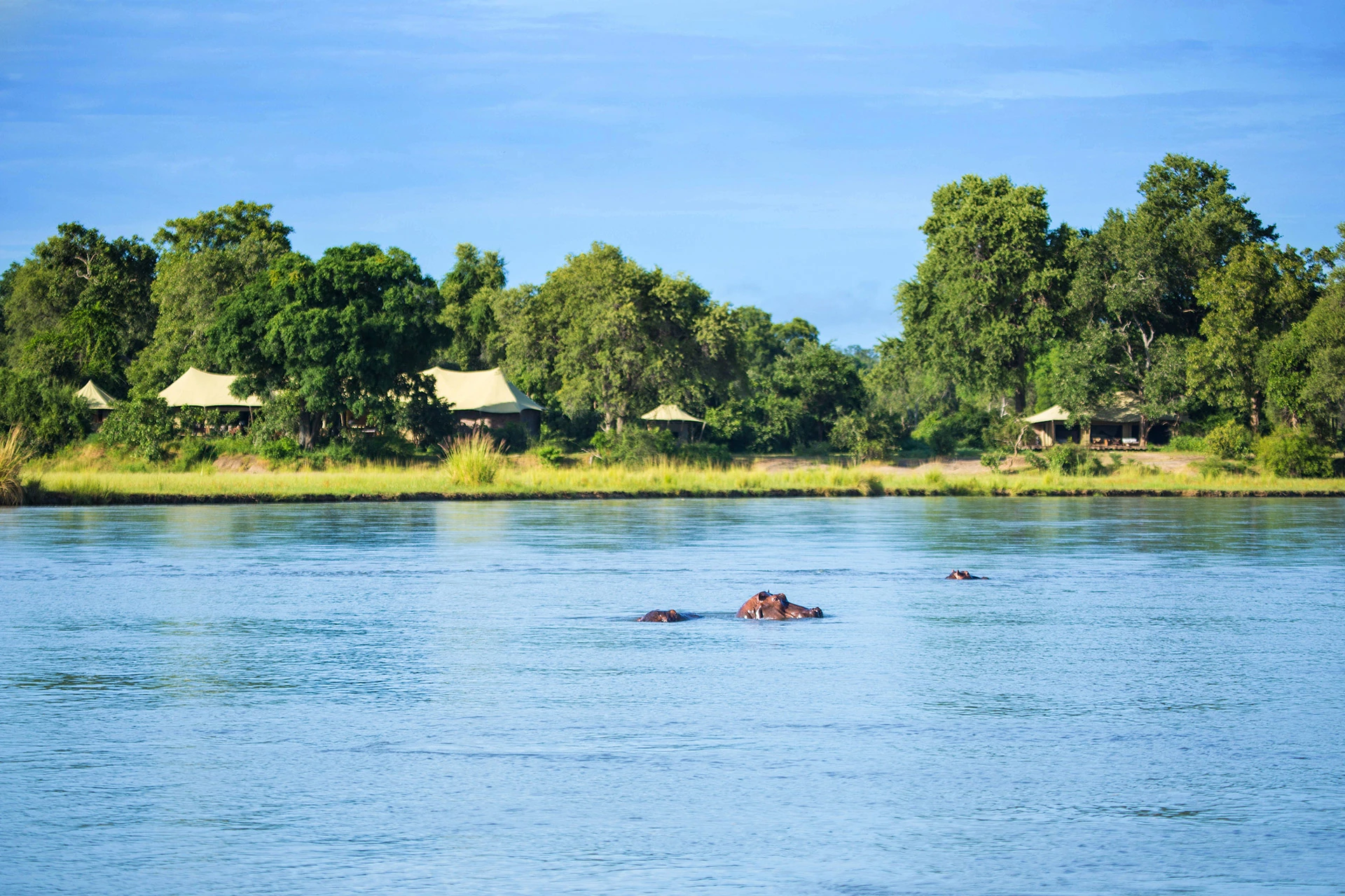 05Great-Plains-Tembo-Plains-Camp-with-hippos.jpg