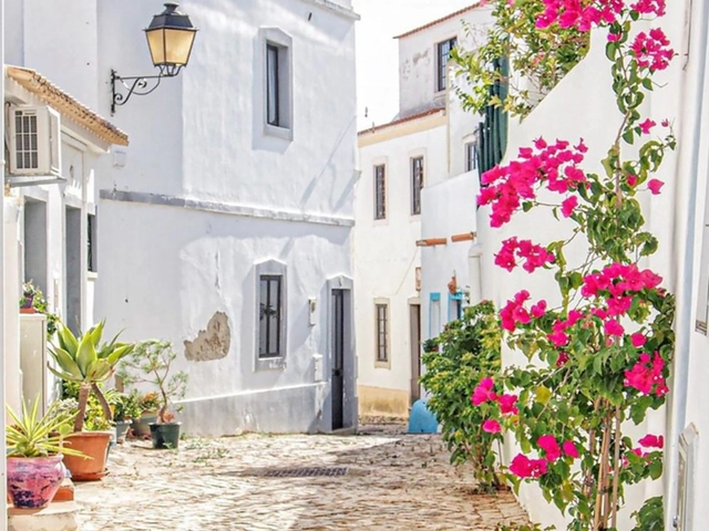 Reconnect to your Why:  A Wellness Retreat for Professional Women