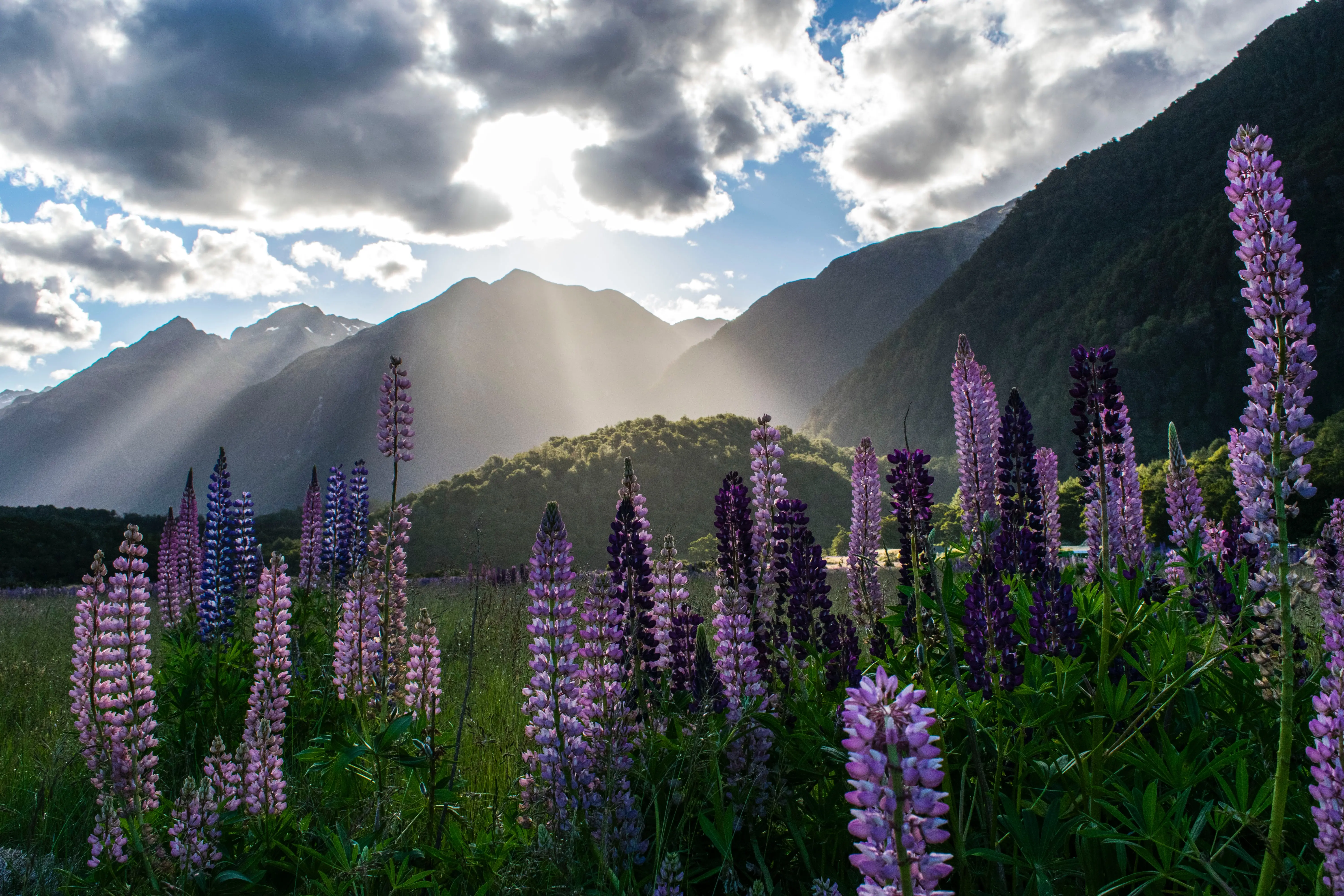 New Zealand Encompassed
