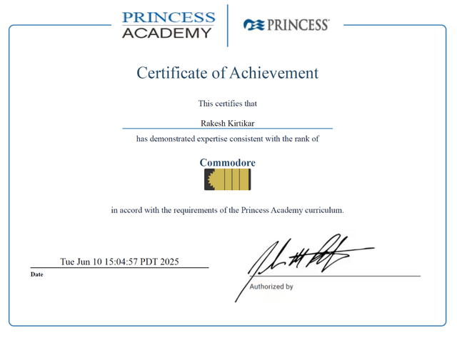 Why Working With a Princess Cruise Specialist Matters