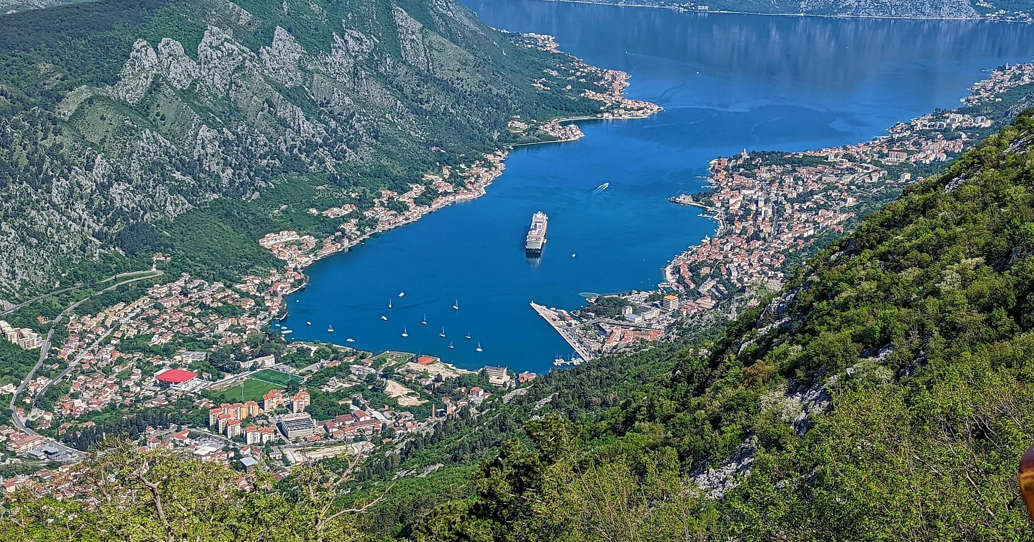 Holland America Line Sees Dramatic Rise in Europe Bookings for 2026