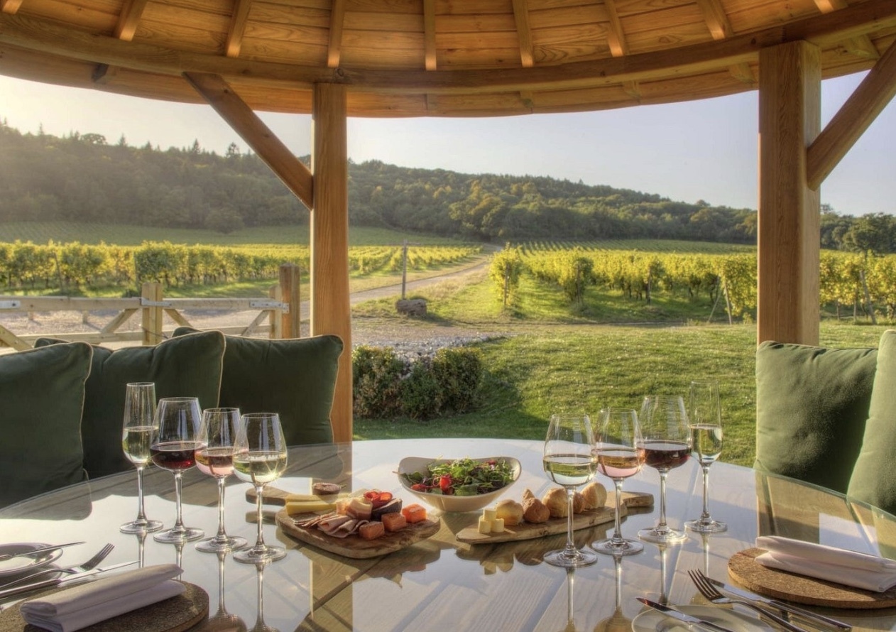 Romantic Surrey Wine Escape: A Day of Scenic Beauty and Wine Tasting