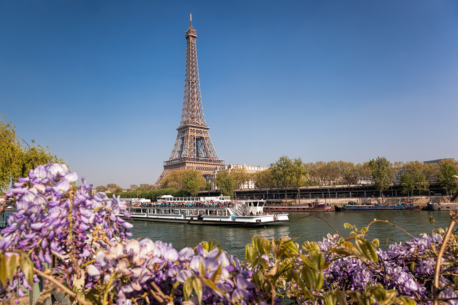 River-Cruise-Eiffel-Tower.jpg