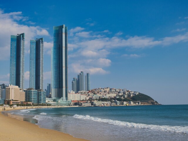 Exploring Busan's Culinary Gems: From Street Food to Upscale Dining